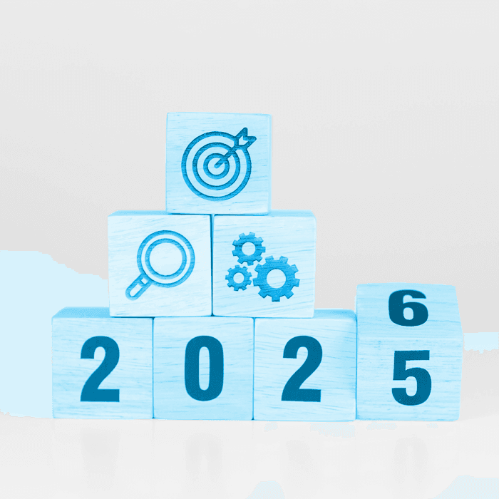 2025 in review: Prominent risks that emerged in South Africa