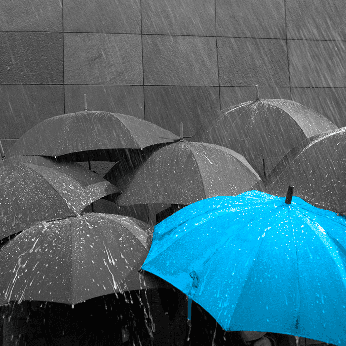 Are you covered against the risk of civil unrest?