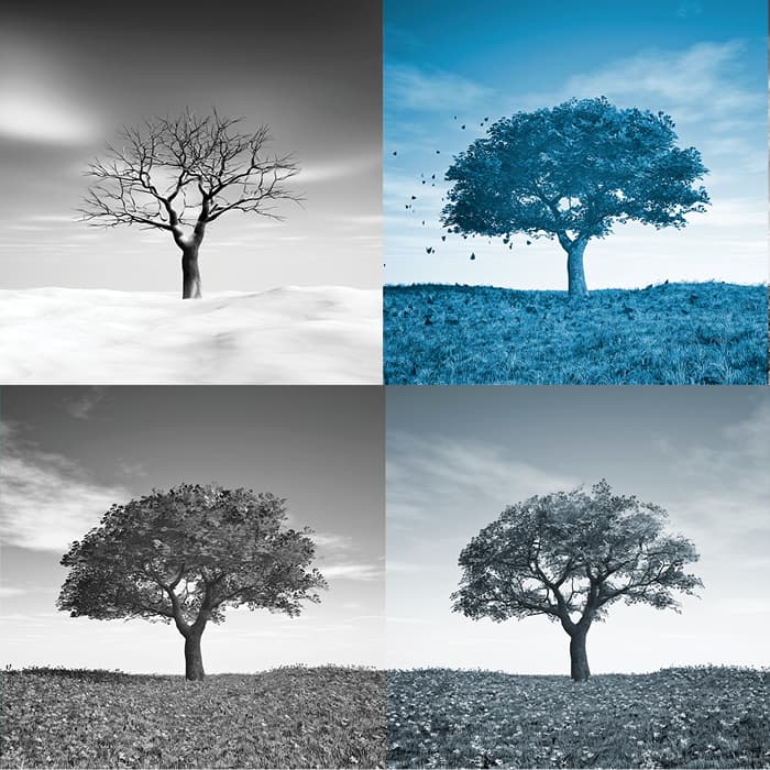 Rising temperatures, rising risks: why adequate cover has become critical